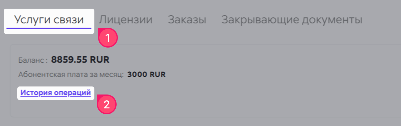 Интерфейс с деталями оплаты за пополнение баланса Сипуни.
